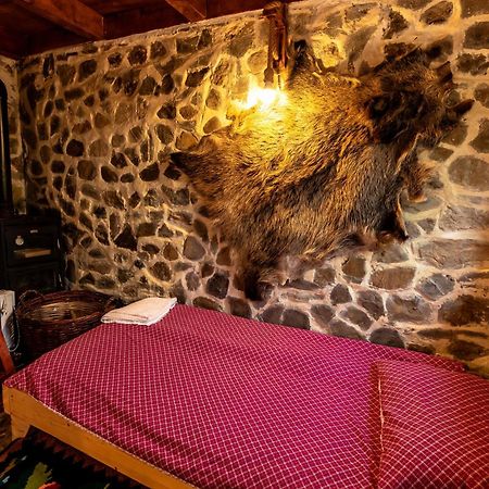 Catunu' Lui Emil Villa Carbunesti ภายนอก รูปภาพ