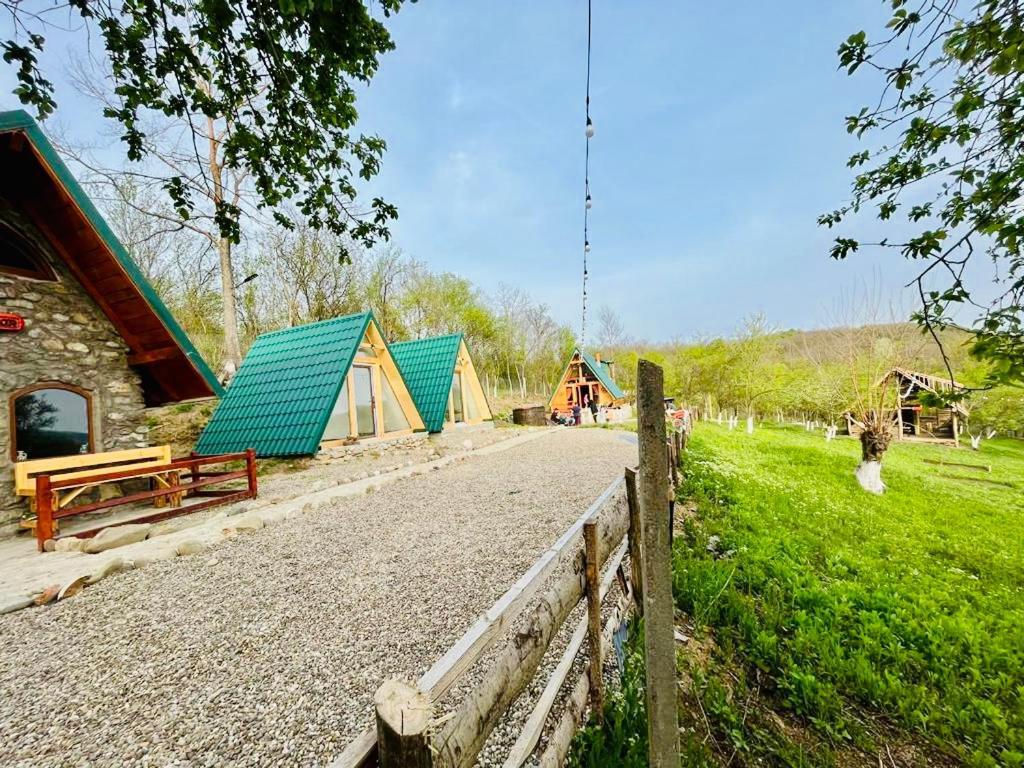Catunu' Lui Emil Villa Carbunesti ภายนอก รูปภาพ